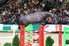 Foto: Charles Darwin ZSP (5-jähriger Hengst V: Cashmoaker MV: Monte Bellini) - Fotograf: Brit Placek