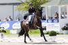 Foto: Dorothee Schneider und Dante‘s Hit OLD überzeugten 2022 in der Finalqualifikation zum NÜRNBERGER BURG-POKAL. (Foto: Thomas Hellmann)
