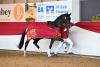 Foto: Secrets Black Perl 
