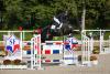 Foto: Der letzte Sprung zum Gold! Der Trakehner Hengst Sweetwaters Ziethen TSF ist mit Sophie Leube im Sattel Weltmeister der siebenjährigen Vielseitigkeitspferde - Fotograf: Soléne Baily Photos/Mondial Du Lion