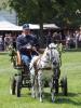 Foto: Bringt die Kleinsten unter den MV-Pferden zum Pferdefestival Redefin - Gisbert Koch, Vorsitzender und "Motor" der IG Shetlandpony aus Setzin - Fotograf: Hanna Timm
