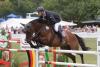 Foto: Siegerpaar im Großen Preis - Erdbeeren-Cup 2022 waren Volkert Naeve aus Ehlersdorf und die Stute Hubs Bubba - Fotograf: T. Gottmann