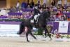 Foto: Platz 2 im Siegerpreis, Sonderehrenpreis für das beste Rückwärtsrichten – die Finalbilanz der Hagener Qualifikationssieger 2022 Susan Pape und Harmony’s V-Plus kann sich sehen lassen - Fotograf: Stefan Lafrenz