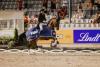 Foto: Das Foto zeigt den Sieger im Preis der VUV-Vereinigte Unternehmerverbände, Frederic Wandres auf Quizmaster - Fotograf: CHIO Aachen/ Franziska Sack