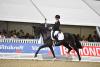 Foto: Das Siegerpaar der Qualifikation zu den Hannoveraner Reitpferdechampionaten in Verden: der dreijährige Hengst Danciero von Dancier mit Eva Möller - Fotograf: Rüchel