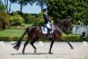 Foto: Siegt auch in der Finalqualifikation zum NÜRNBERGER Burg-Pokal: Deep Purple mit seiner Schweizer Ausbilderin Jasmin Sanche-Burger - Fotograf: Sportfotos-Lafrentz.de