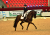 Foto: Simone Pearce und Cadeau Noir haben den ersten Grand Prix in der Geschichte des Hallenturniers in Neustadt-Dosse für sich entschieden - Fotograf: Gardemann