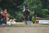 Foto: Auf dem Weg zum fünften Sieg. Michael Jung mit Star Connection im Schloßpark - Fotograf: equistock.de