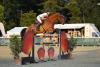 Foto: Lesley Wulff mit neuem Spitzenpferd Luigi hocherfolgreich in Magna Racino (AUT) - Fotograf: Veranstalter