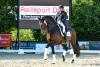 Foto: „Seine große Stärke ist seine Zuverlässigkeit", lobte Rainer Schwiebert seinen holsteinischen Sportpartner Helenenhof’s Catoo nach dem Sieg im Grand Prix de Dressage beim Auftakttag des Dressurfestivals Hof Norwegen - Fotograf: RathmannVerlag/Malina Blunck