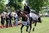 Foto: Stammgast und Multisieger in Wiesbaden - Michael Jung. Im Galopp Richtung 2024! - Fotograf: Frank Hennig