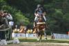 Foto: Auf dem Weg zum fünften Sieg. Michael Jung mit Star Connection im Schloßpark - Fotograf: equistock.de