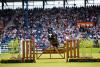 Foto: Steve Guerdat a CHIO Aachen 2019 - Fotograf: Rolex / Ashley Neuhof