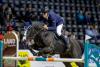 Foto: Siegerpaar im Preis der NWZ und aus familieneigener Zucht: Die Stute Botakara und ihr Reiter Mario Stevens - Fotograf: Stefan Lafrentz