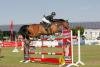 Foto: Sportlich das Glanzlicht beim Fehmarn Pferde Festival - der Große Preis am Sonntag - Fotograf: Archiv/Wid