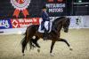 Foto: Tadellose Runde und sicherer Sieg für Dorothee Schneider und Mister-C beim AGRAVIS-Cup in Oldenburg in der Intermediaire II - Fotograf: Stefan Lafrentz