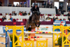 Foto: Europameister André Thieme ist beim 21. CSI in Neustadt-Dosse dabei - hier mit Crazy Girl V in der Graf von Lindenau-Halle - Fotograf: Stefan Lafrentz