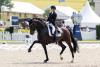 Foto: Leonie Richter und Be Sure sicherten sich in Balve 2025 das Ticket ins Finale des NÜRNBERGER BURG-POKALs in Frankfurt - Fotograf: reitsport-hellmann.de
