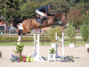 Foto: Tochter des Million Dollar heißt Montenegra und trägt die Katalognummer 123 - Fotograf: Janne Bugtrup