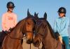 Foto: TOMMY HILFIGER Equestr ian Frühjahr/Sommer 2022 Kollektion: Inspiriert vom aufregenden Lebensstil im Pferdesport, vom Training bis hin zu Sport und Freizeit - Fotograf: @barneyandbaxtersports