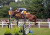 Foto: International im Parcours erfolgreich und beim Trakehner Bundesturnier in Hannover am Start: Ventsislav Isov und sein Fuchshengst Ezop - Fotograf: Sigrun Wiecha