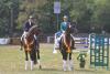 Foto: Die Trakehner Dressurpferdechampions 2019, die gekörten Hengste Fellini v. Berlusconi unter Sabrina Geßmann (links) und Freiherr von Stein v. Millennium (rechts) unter Susann Göbel - Fotograf: Stephan Bischoff