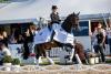 Foto: TSF Dalera BB ist „Trakehner des Jahres“ - Fotograf: Stefan Lafrentz