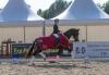 Foto: Vanessa Siedentopf präsentierte den Trakehner Equitop Myoplast Champion der dreijährigen Stuten und Wallache, Salvana’s Habitus v. Helium. Mit den Stuten Salvana’s Helena und Helene sicherten sich zwei Vollgeschwister die diesjährigen Championatstitel bei den vierjährigen Stuten und Wallachen sowie bei den fünfjährigen Dressurpferden - Fotograf: Sigrun Wiecha