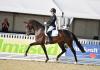 Foto: Sandra Kötter pilotierte die Hannoveraner Stute Feingefühl, die auch Reservesiegerin der dressurbetonten Stuten bei der Herwart von der Decken Schau wurde, zum Sieg in der Qualifikation zum Reitpferdechampionat in Verden - Fotograf: Rüchel