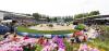 Foto: Zum vierten Mal im Sommergarten: das Global Jumping Berlin 24. - 26.Juli 2020 - Fotograf: Thomas Hellmann
