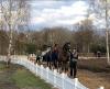Foto: Schlangestehen für den Vet-Check - die internationale Luhmühlen Spring Tour nimmt "Fahrt auf" - Fotograf: H. Wahlers
