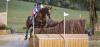 Foto: Die Europameisterschaften Vielseitigkeit eröffnen die EM-Quadriga 2023 bei ClipMyHorse.TV - Fotograf: FEI/ Massimo Argenziano