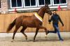 Foto: Vivaldos by Van Vivaldi x Desperados - Fotograf: Hahn