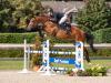 Foto: Sie ist die Vollschwester zu dem unter Rolf-Göran Bengtsson (SWE) erfolgreichen Zuccero: Kleine Schwester v. Zirocco Blue-Caretino trägt die Katalognummer 127 - Fotograf: Janne Bugtrup