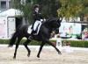 Foto: Lena Waldmann gewinnt mit Cadeau Noir in Neu-Anspach die Qualifikation für den Nürnberger Burg-Pokal - Fotograf: Maxiimilian Schreiner)