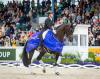 Foto: Isabell Werth mit ihrer Wendy beim CHIO Aachen 2024 - Dort siegte das Paar im Lindt-Preis - Fotograf: CHIO Aachen/Arnd Bronkhorst