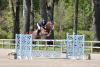 Foto: Harrie Wiering unschlagbar im GP von Riesenbeck CSI** - Fotograf: RI 
