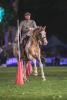 Foto: Erst als Schaunummer in der PferdeNacht, in diesem Jahr als fünfte Wettbewerbs-Disziplin in Wiesbaden: Working Equitation - Fotograf: Tomspic.com
