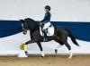 Foto: Reitponystute Crystal Bloemendale - Fotograf: Ponyforum GmbH