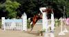 Foto: Zählt zu den gern gesehenen Gäste und gewann 2019 eines der schweren Springen in Breitenburg: Lars Bak Andersen und 3Q Qira - Fotograf: Brüske