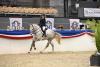 Foto: Zamantha v. Zuccero kostete 67.000 Euro - Fotograf: Janne Bugtrup