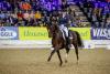Foto: Zukunftshoffnung: Quantum Vis MW gewann mit Dorothee Schneider die Qualifikation zum Louisdor-Preis-Finale - Halbbruder Mister-C wurde Zweiter - Fotograf: Stefan Lafrentz