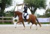 Foto: Siegreicher Zwischenstopp auf dem Weg zur DJM: Thora Sander und Terbofens Quantus ziehen in Friedrichskoog ins Kuschel Cup-Finale ein - Fotograf: Photo-Rocket.de
